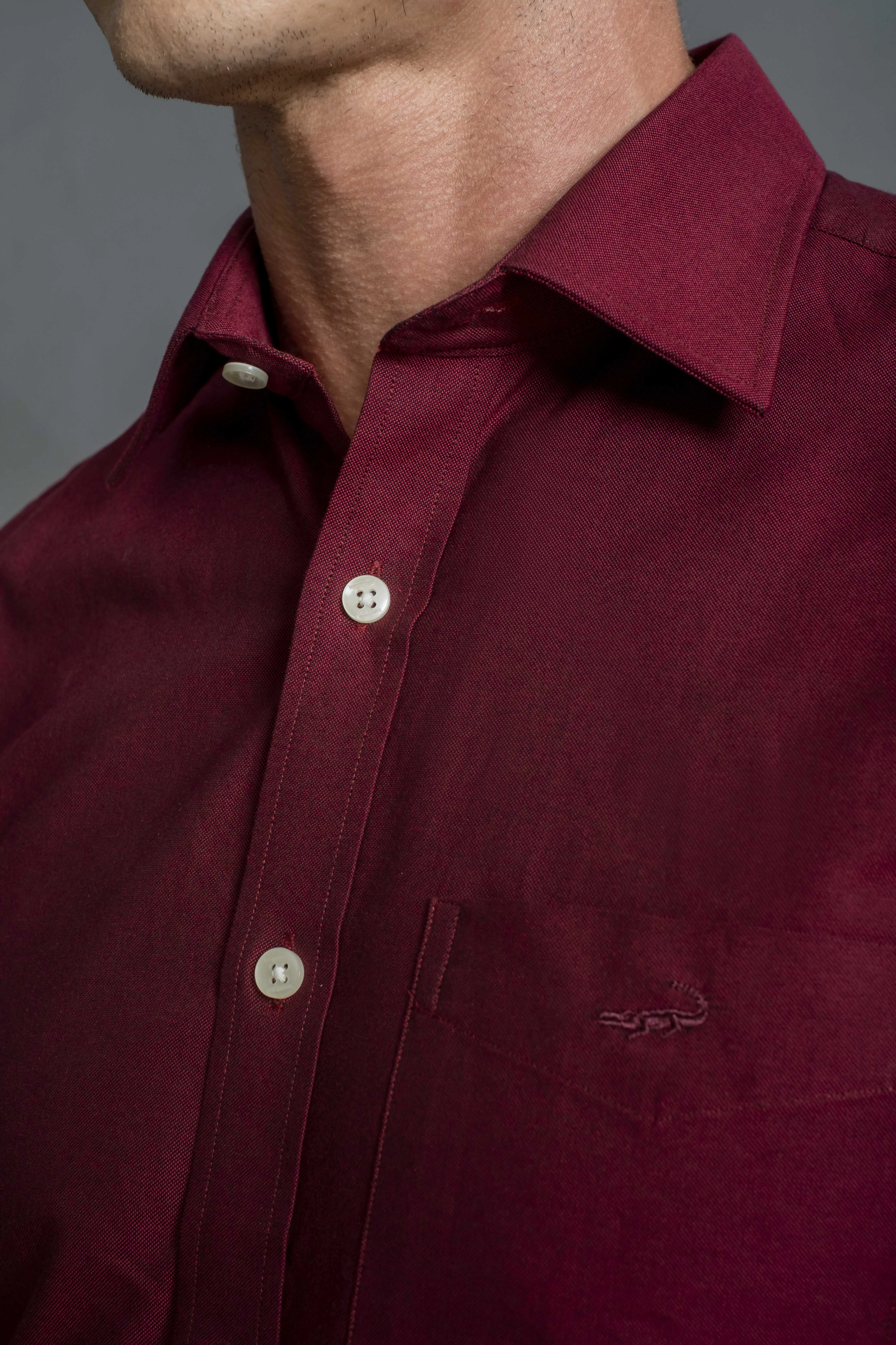 Slim Fit Long sleeves-Formal Shirts-Burgundy